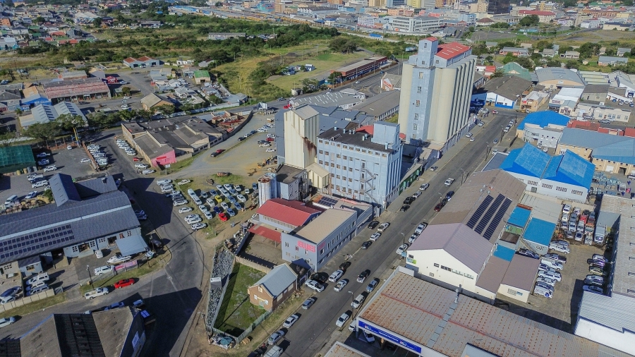 Commercial Property for Sale in Arcadia Eastern Cape